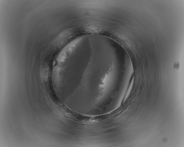 X0000091010647200708161959