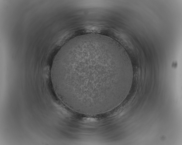 X0000091010649200708161959