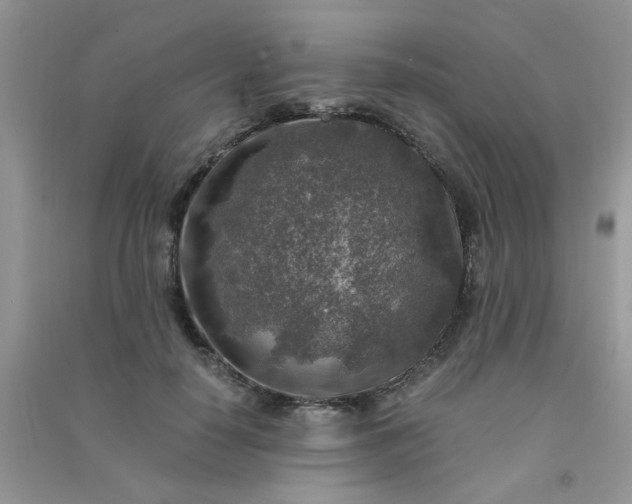 X0000091010650200708161959