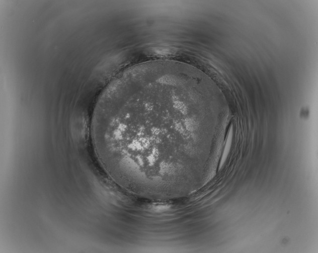 X0000091010651200708161959