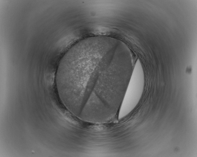 X0000091010652200708161959