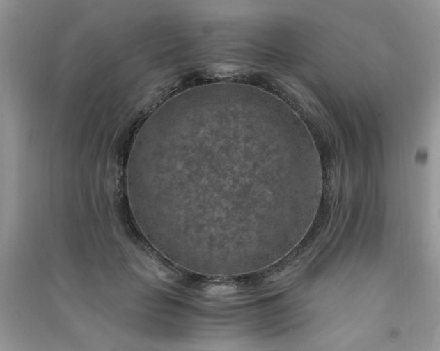 X0000091010653200708161959