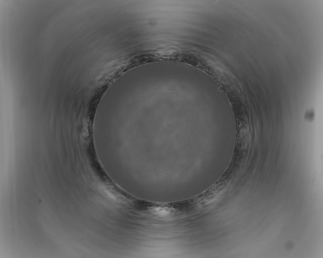 X0000091010654200708161959