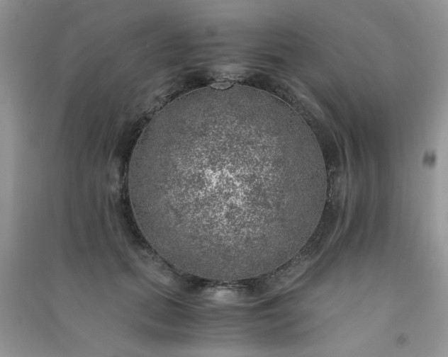 X0000091010655200708161959