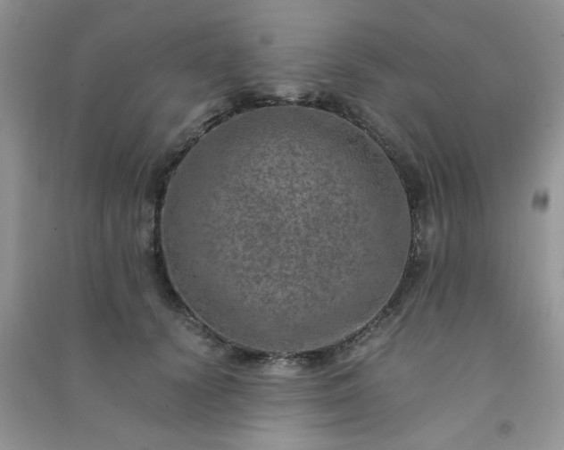 X0000091010656200708161959