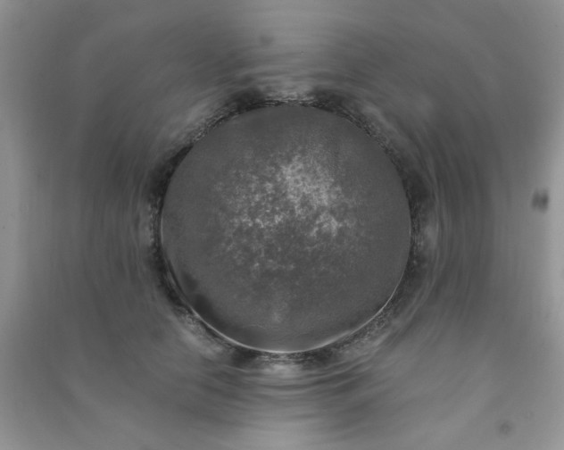 X0000091010658200708161959