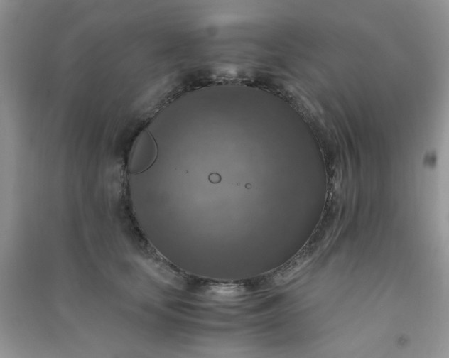 X0000091010659200708161959