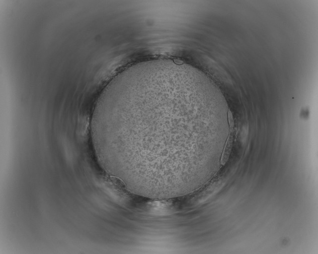 X0000091010660200708161959