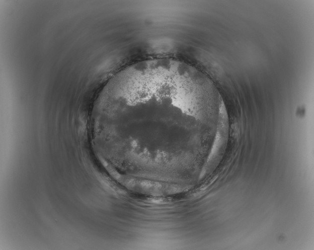 X0000091010662200708161959