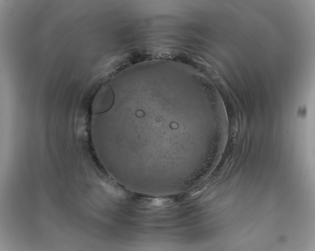 X0000091010663200708161959