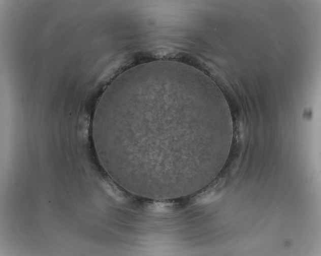 X0000091010664200708161959