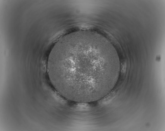 X0000091010666200708161959