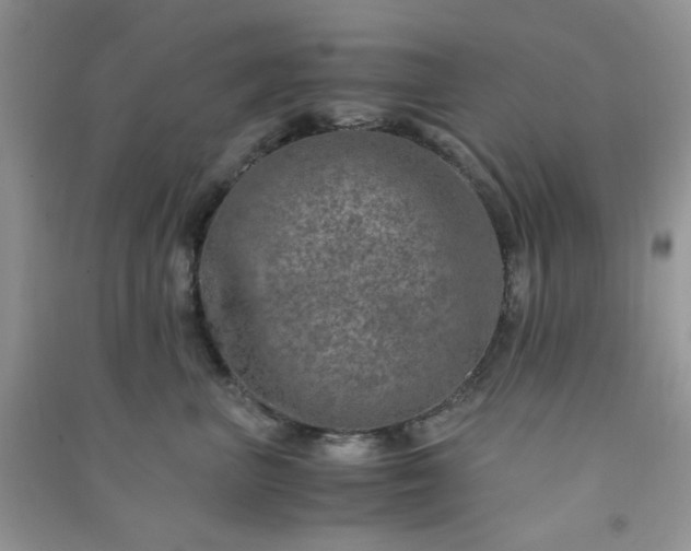 X0000091010667200708161959