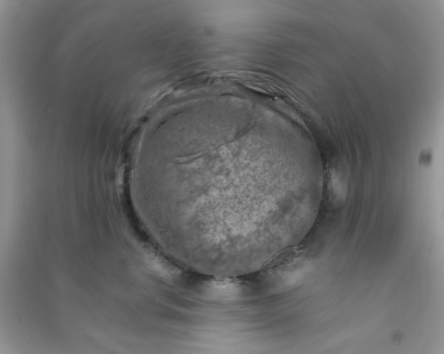 X0000091010668200708162000