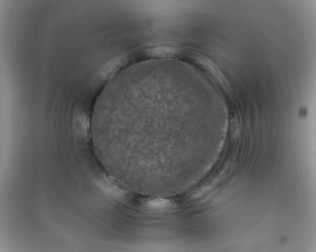 X0000091010669200708162000