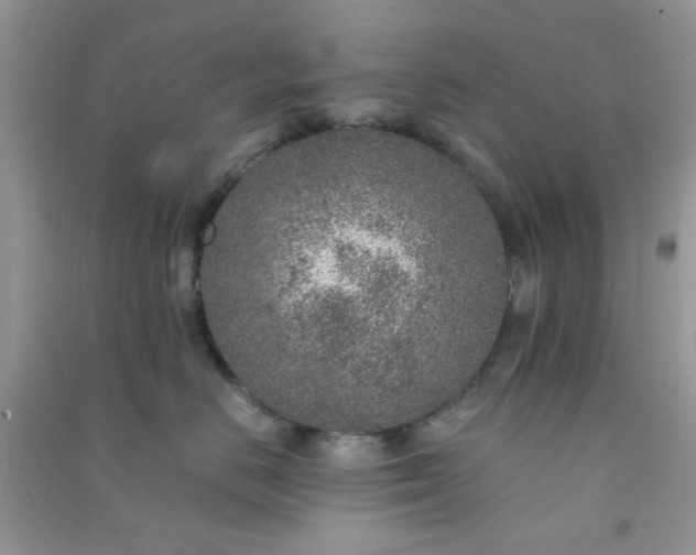 X0000091010670200708162000