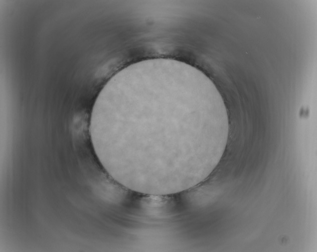 X0000091010672200708162000