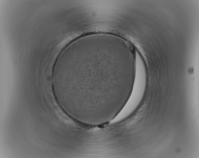 X0000091010673200708161959