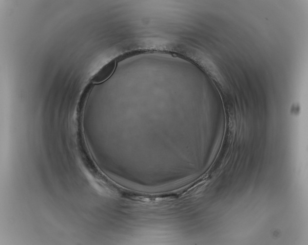 X0000091010674200708161959