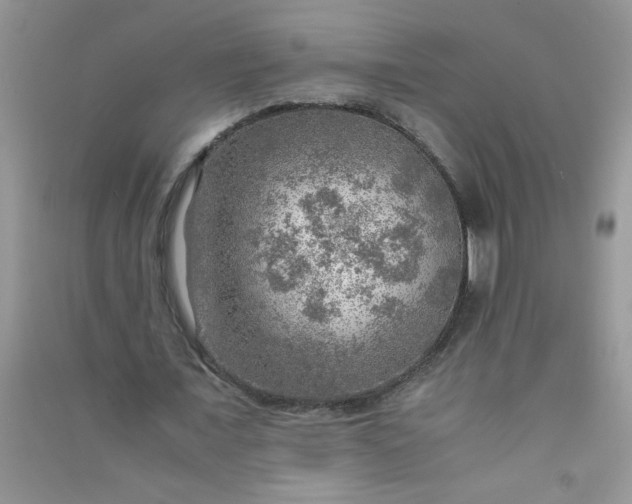 X0000091010675200708161959