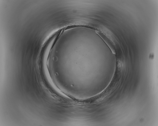 X0000091010676200708161959