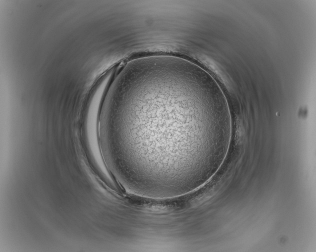 X0000091010677200708161959