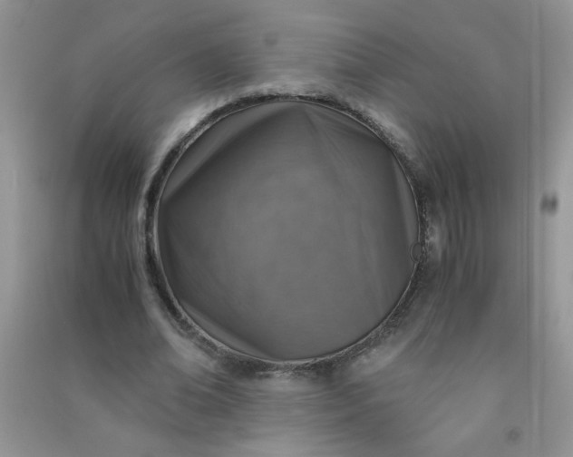 X0000091010678200708161959