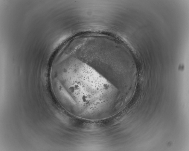 X0000091010679200708161959