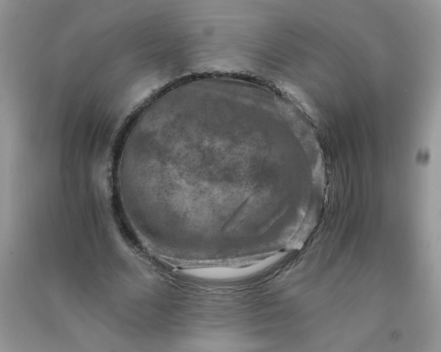 X0000091010680200708161959