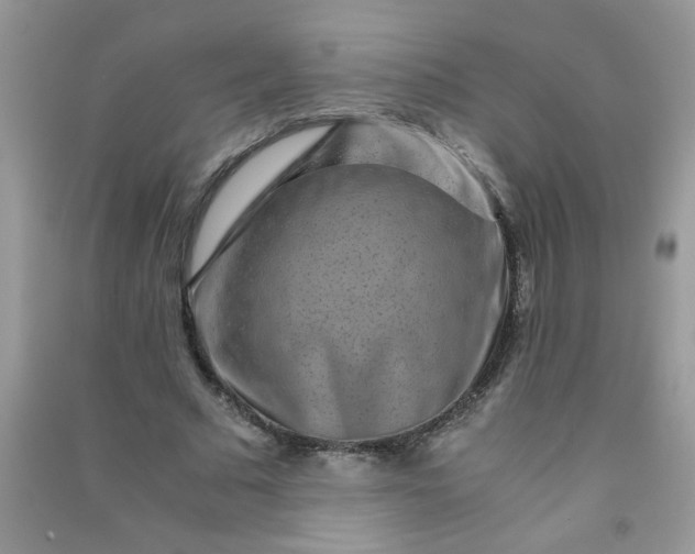 X0000091010681200708161959