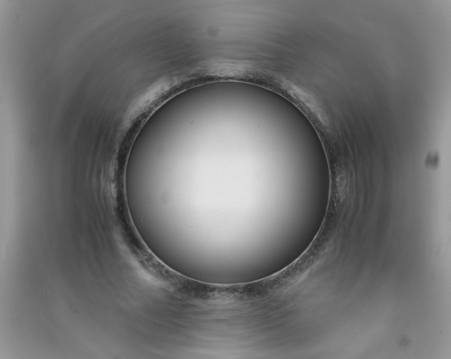 X0000091010682200708161959