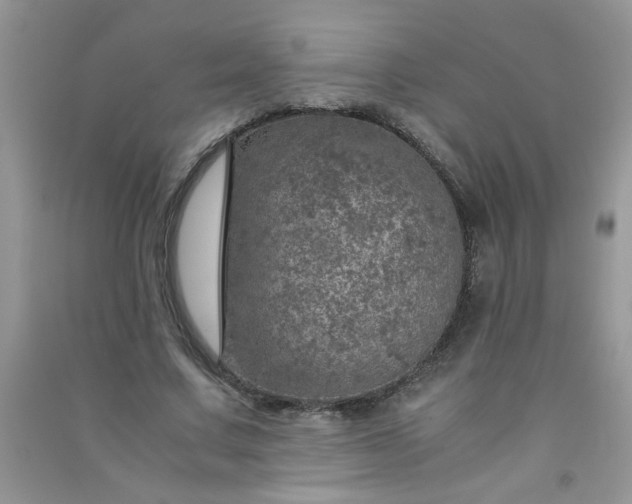 X0000091010683200708161959