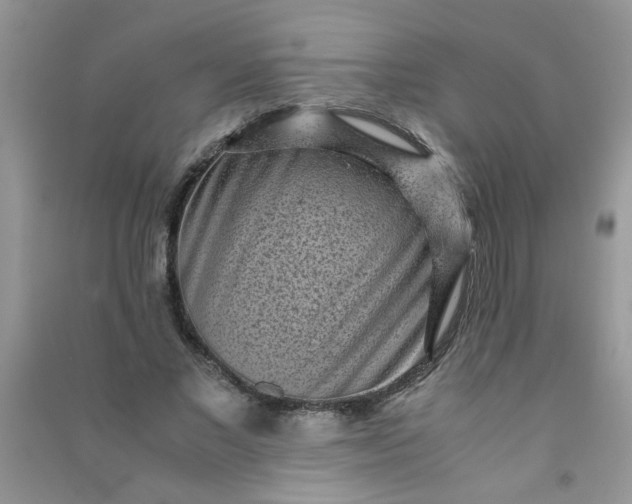 X0000091010685200708161959