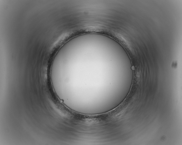 X0000091010686200708161959