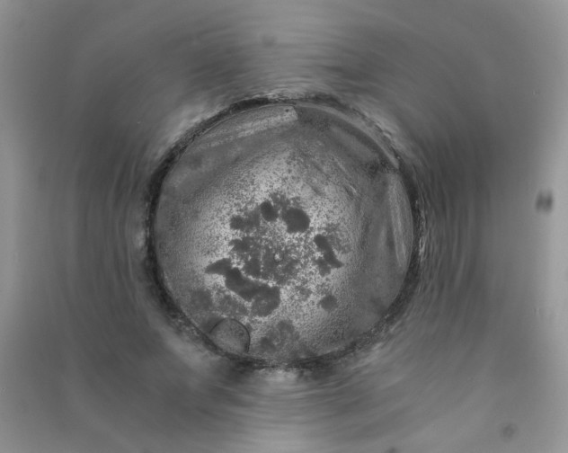 X0000091010687200708161959