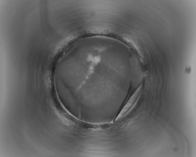 X0000091010688200708161959