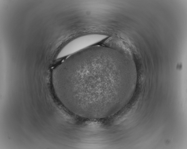 X0000091010689200708161959