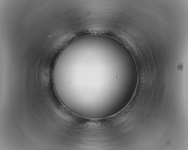 X0000091010690200708161959