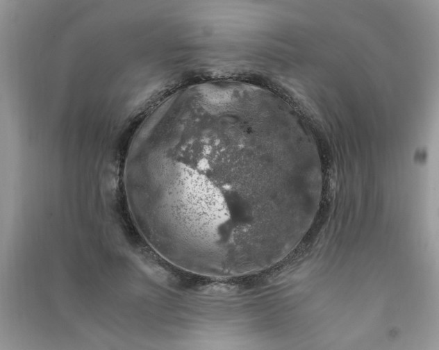 X0000091010691200708161959