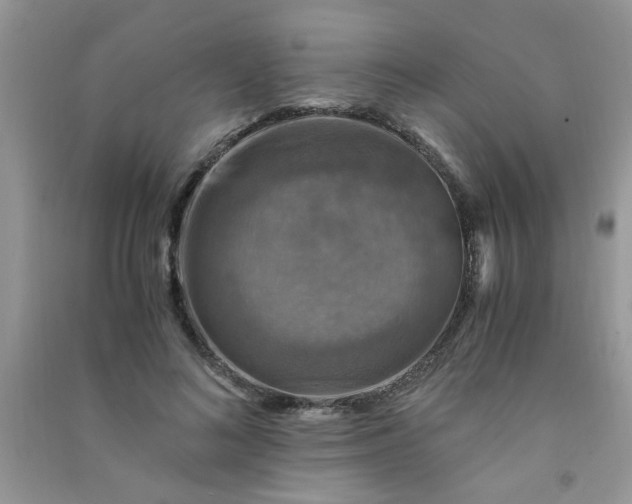 X0000091010692200708161959