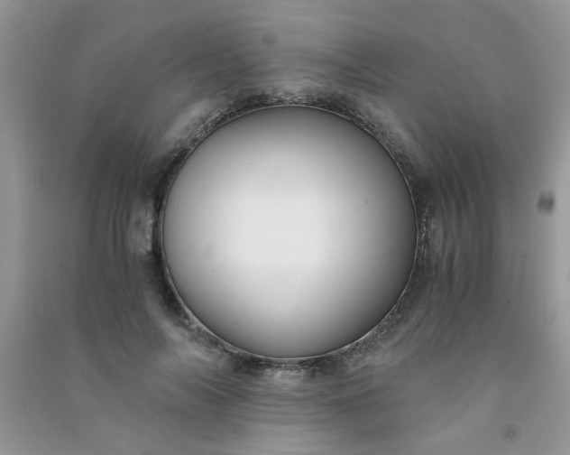 X0000091010694200708161959