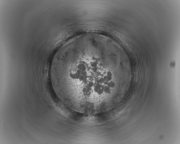 X0000091010695200708161959