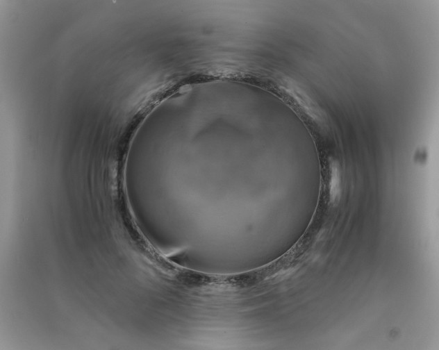 X0000091010696200708161959