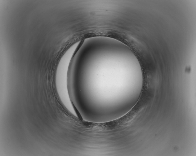 X0000091010697200708161959