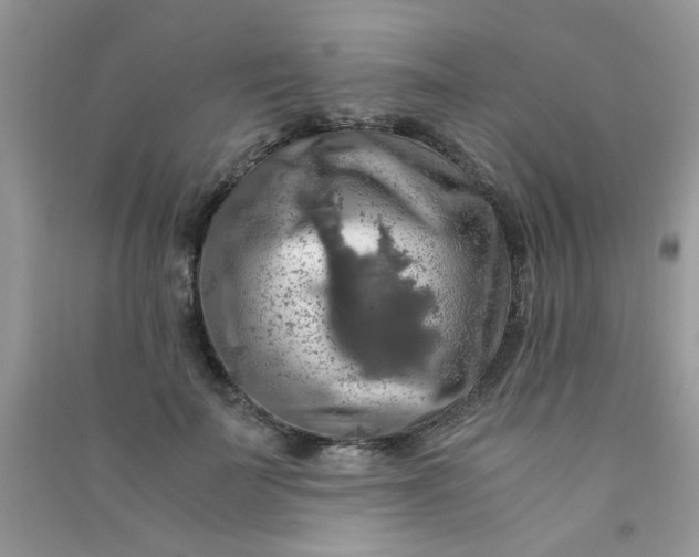 X0000091010699200708161959