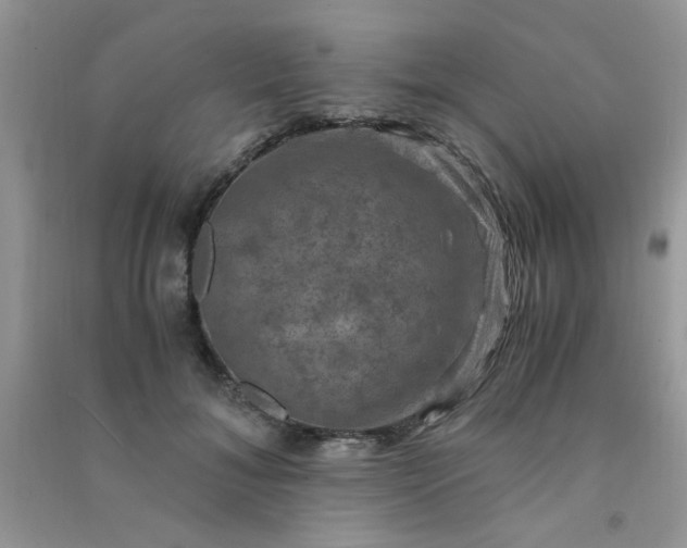 X0000091010700200708161959