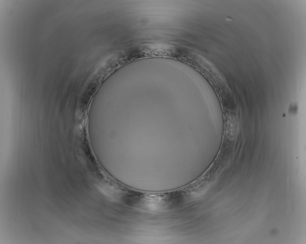 X0000091010701200708161959