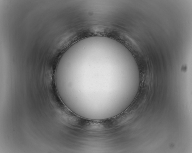 X0000091010702200708161959