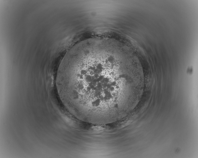 X0000091010703200708161959