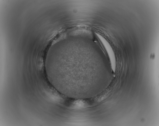 X0000091010704200708161959